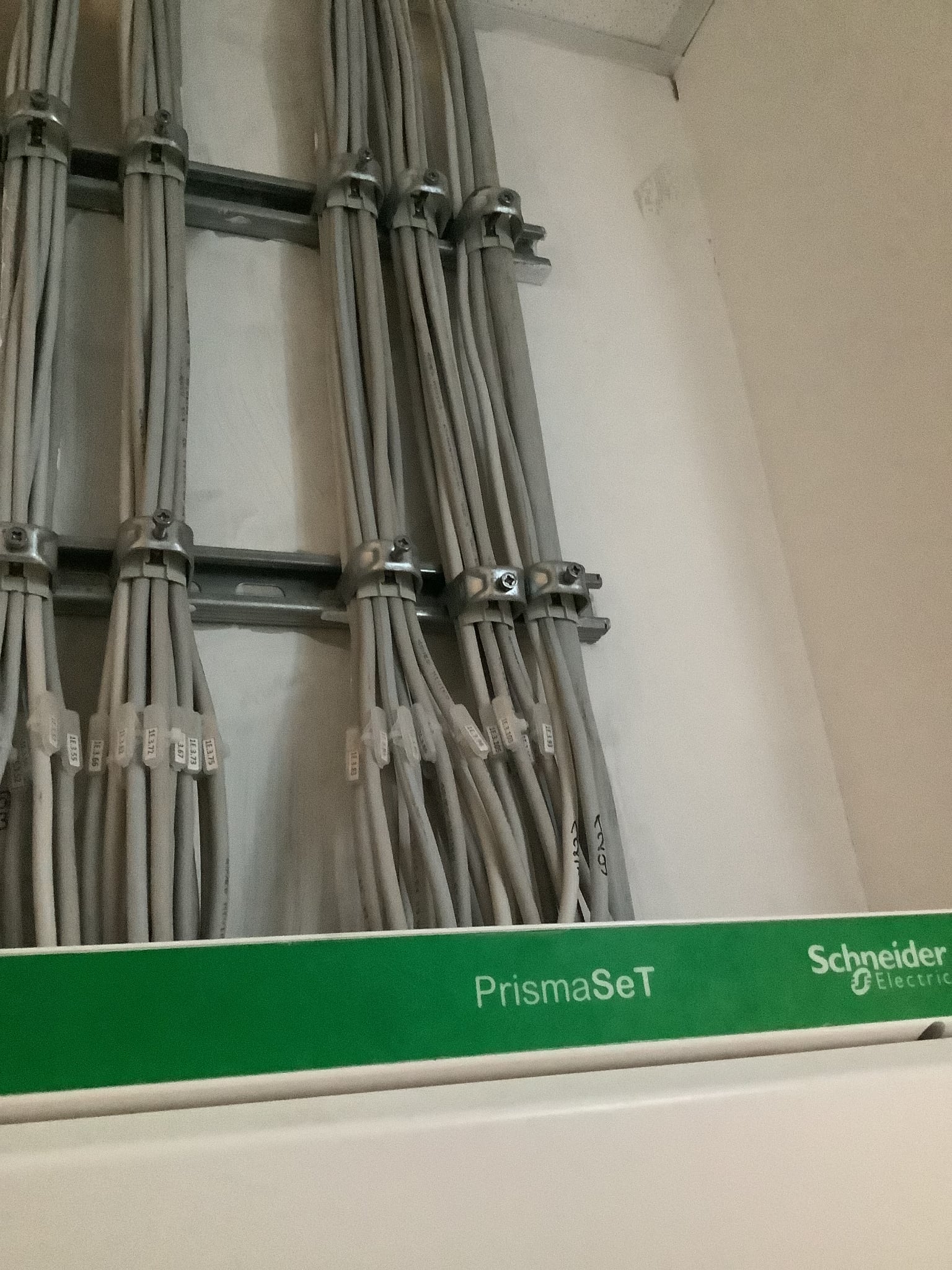Labelled electrical cable bundles above a distribution cabinet
